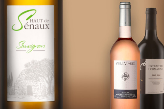 les belles rencontres du vin