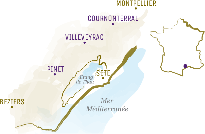 Carte des terroirs Ormarine