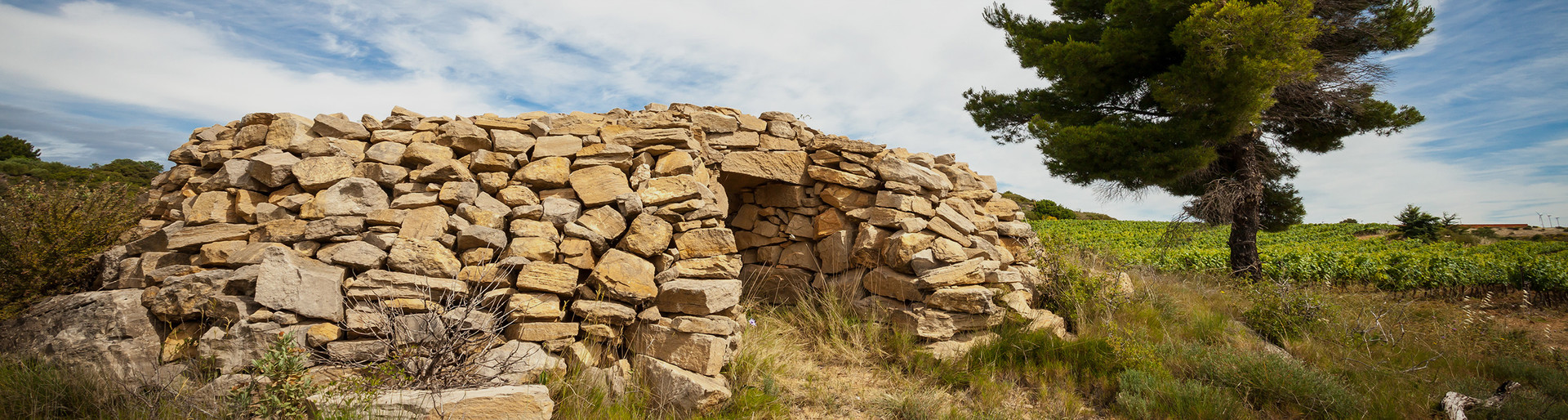 Terroir Villeveyrac