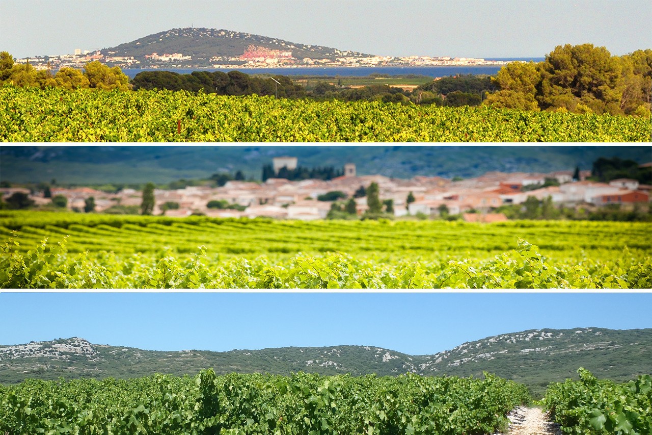 Cave de l'Ormarine - Rencontre de Terroirs